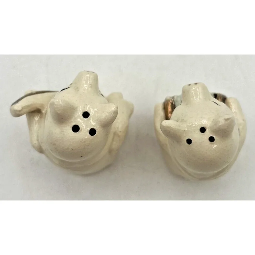 Vintage Retro Salt and‎ Pepper Shakers Porcelain Musical Pigs U260/11